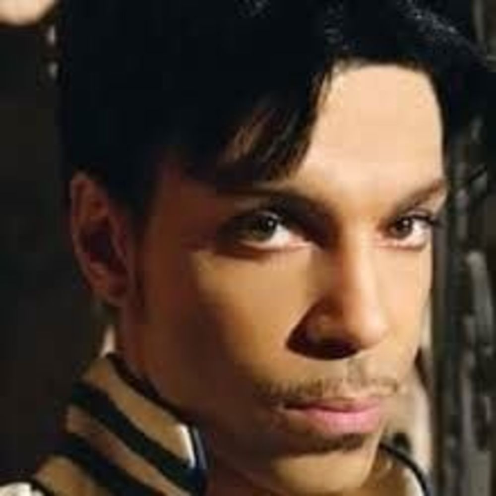 Meet your Posher, Dora